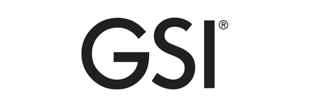 Gsi Logo